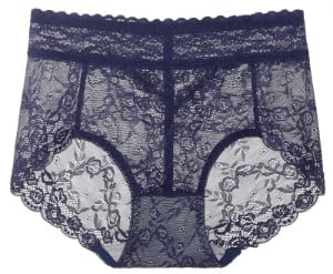 Sexy Sheer Lace Protective Period Panties blue color view